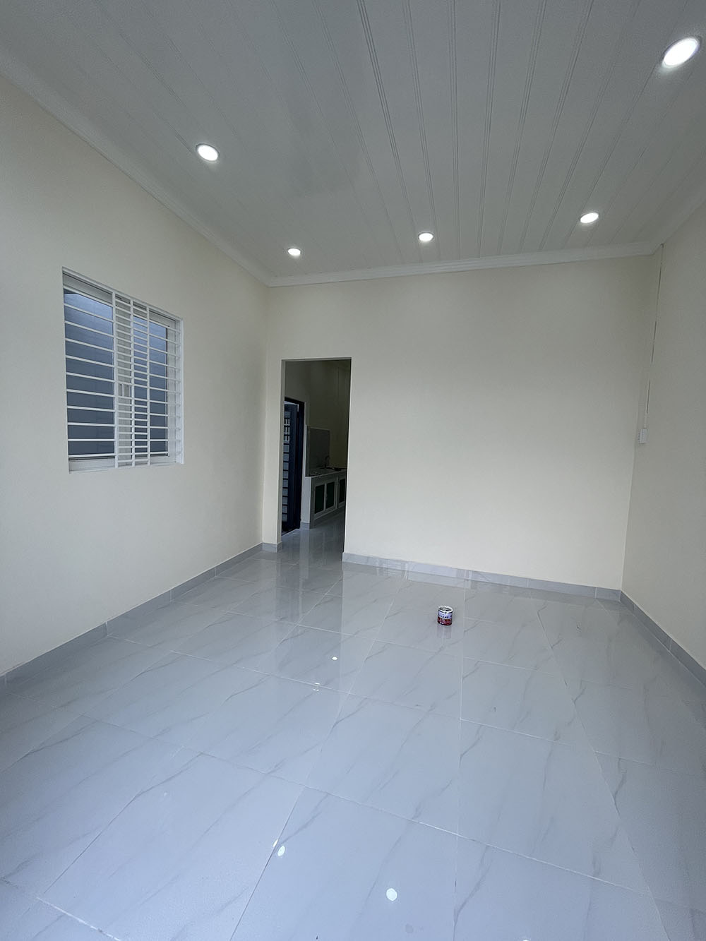 Bán nhà đường Vườn Lài, Phường An Phú Đông, Quận 12 nhà mới 100% (9m x 15m nở hậu = 141m2)